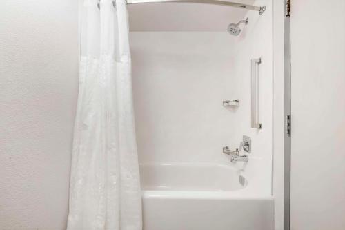 Comfort Inn & Suites Near Universal Orlando Resort-Convention Ctr - image 4