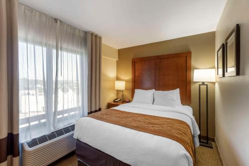 Comfort Inn Kennesaw - image 2