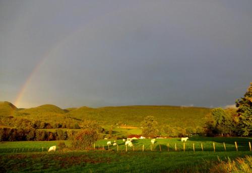 Terres de la Grange - Accommodation - Cuisiat