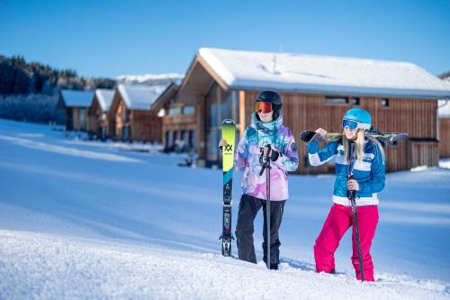 Kreischberg Chalets by Alps Residence - image 14