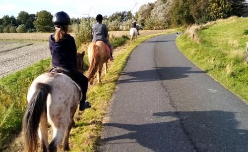 Unser Froschhaus Unser Froschhaus