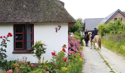 Unser Froschhaus Unser Froschhaus