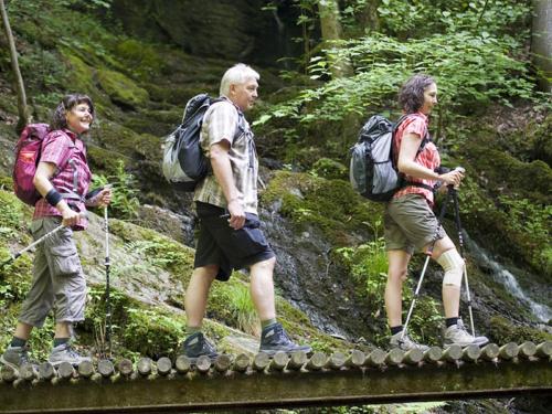 Moselstern Hotel Zum guten Onkel - image 6