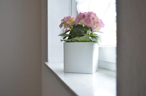 Ferienwohnung Sporn - image 8