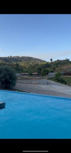 Várzea Grande eventos pombos pé