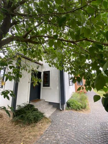 Szofi apartman in Balatongyorok