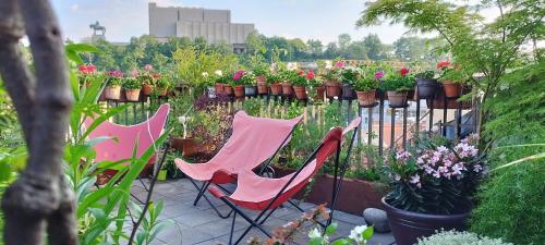 Guestrooms, rooftop with garden, spacious living room, character and fireplace, Praga (foto 8)