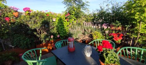 Guestrooms, rooftop with garden, spacious living room, character and fireplace, Praga (foto 9)