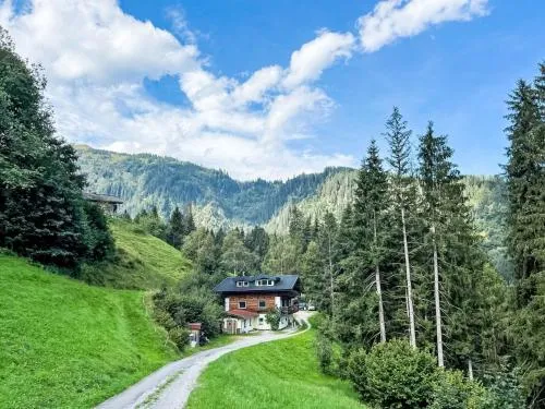 Apartment Daniel by Interhome in Hollersbach im Pinzgau, Österreich