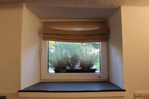 Thisa 4, Burg-Reuland (Foto 10)