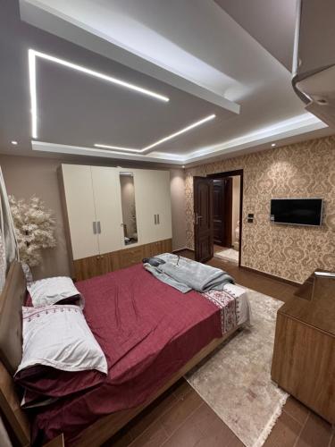 جامعه الدول العربيه