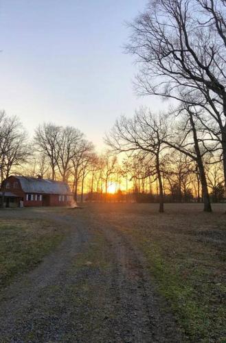 Peaceful Little Sheep Farm in Austin -Pet Friendly in Cabot, USA