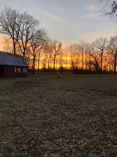 Peaceful Little Sheep Farm in Austin -Pet Friendly in Cabot, USA