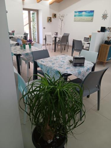 La Perla Amantea - Rooms & Apartaments 5