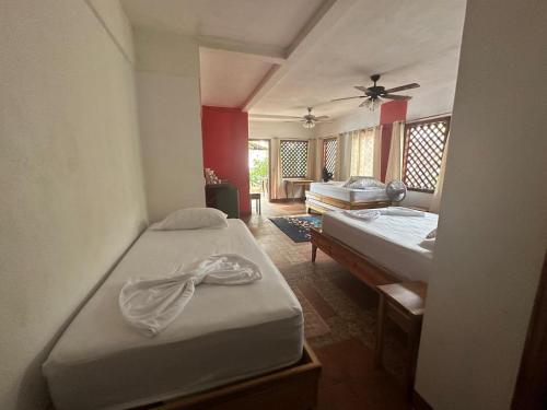 Hotel Don Quichotte in Tortuguero
