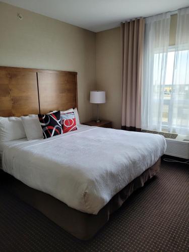 1 king bed, 1 queen bed