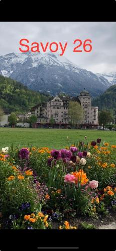  SAVOY 26 in Interlaken