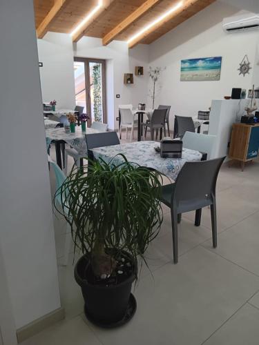 La Perla Amantea - Rooms & Apartaments 4