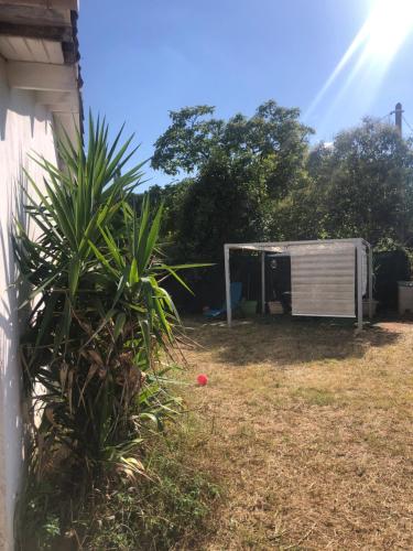 Garden, Darna Quietude in Millenaire - Grammont