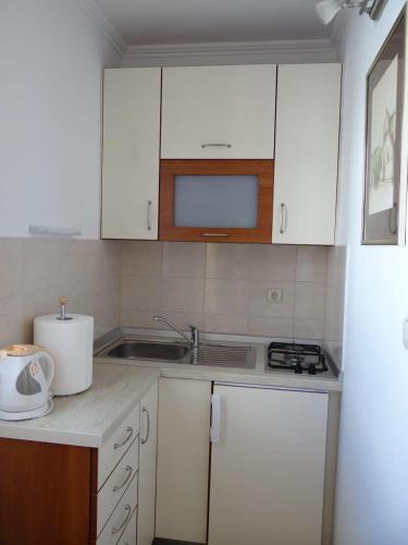 Apartments by the sea Pag - 17147 - image 8