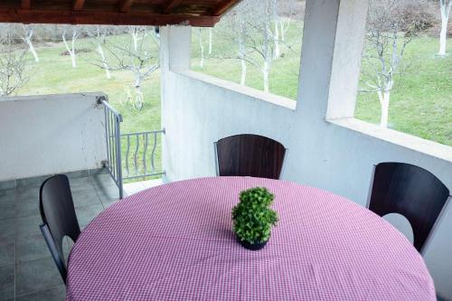 Skats, Secluded apartments Srb, Zagora - 22245 in Gracac