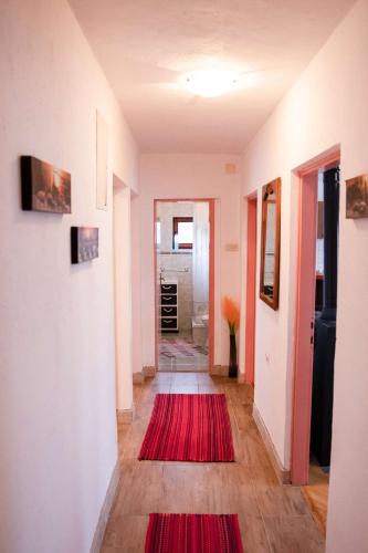 Iekārtas, Secluded apartments Srb, Zagora - 22245 in Gracac