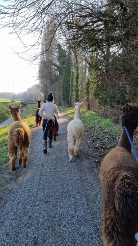 A környék, I giardini di Lo' in Montagnana