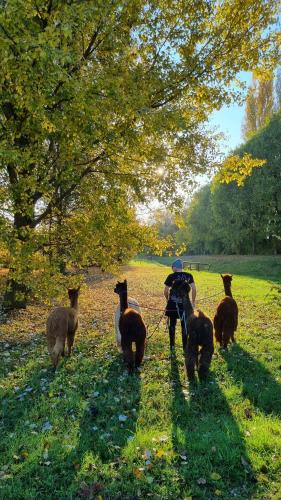 A környék, I giardini di Lo' in Montagnana