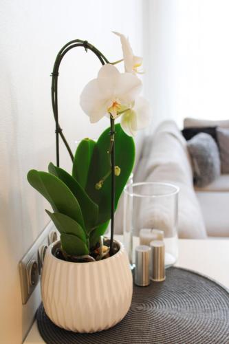 13th Floor Cityview Luxury 13th Floor Cityview Luxury