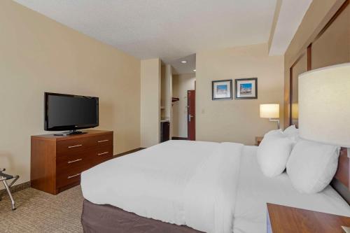 Comfort Inn & Suites Seguin - image 10