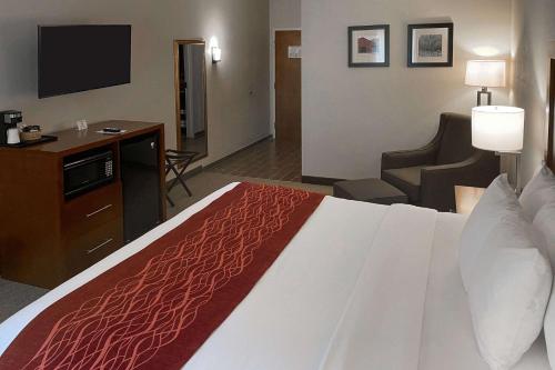 Comfort Inn & Suites Rogersville - image 31