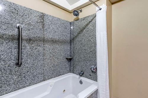 Comfort Inn & Suites Seguin - image 3