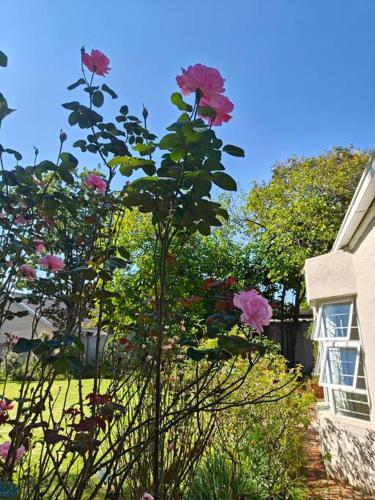 Blessed Luxury Cottage into Nature in Sandton Apartment in Sandton