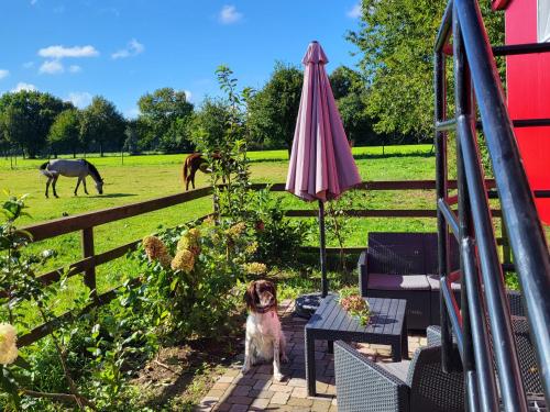 Jardín, Schlafwagen Domblick Moerenhof Xanten in Xanten