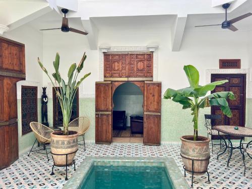Riad Panthera, Médina