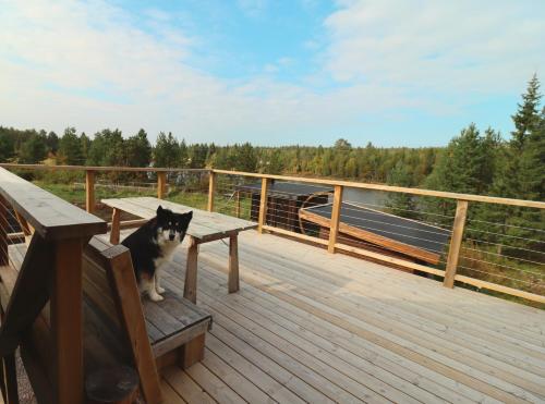 景觀, Cozy River Cabin Styled Loft in 基律納市中心