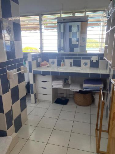 Bathroom, La Sucriere in Terre-de-Haut