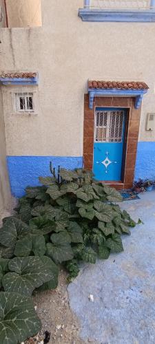 Mehdi House Mehdi House