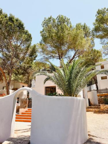 azuLine Club Cala Martina Ibiza - image 8
