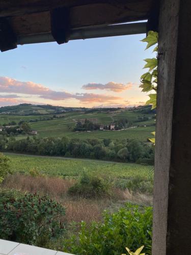 Apkārtne, Cottage en vignoble in Leina