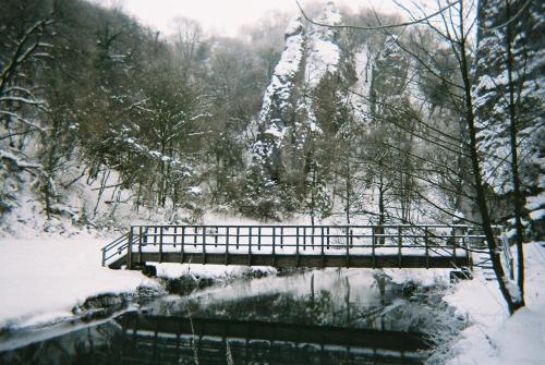 Stanshope Hall - image 11