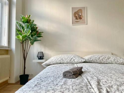 110 m2 Sunny & Central Apartment with Free Parking