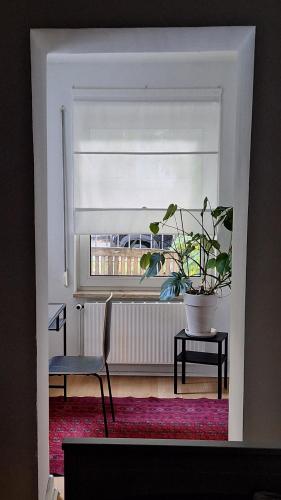 Schöne Wohnung im Herzen von Hamburg, Hamburg (Foto 4)