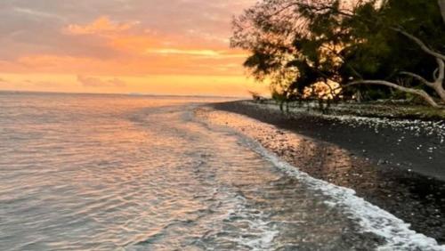 شاطئ, TAHITI - Bungalow Mana in بابارا