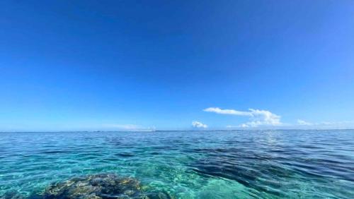 المنطقة المحيطة, TAHITI - Bungalow Mana in بابارا