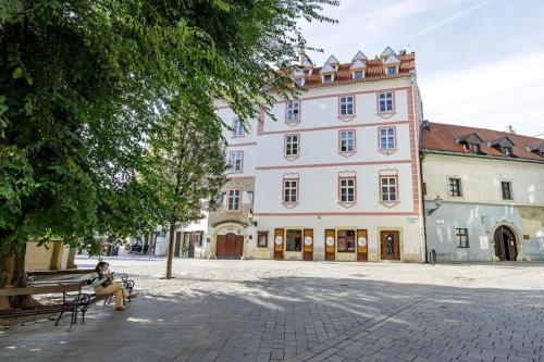 Penthouse 360 Castle View - In The Heart of Bratislava Old Town, Bratislava (fotografie 8)