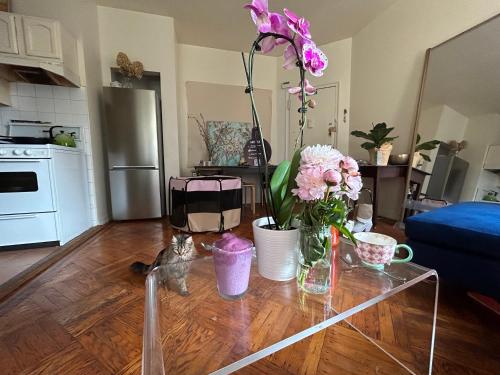Bright Artist 2 Bedroom - One block from Prospect Park - Across from the train in Brooklyn, USA
