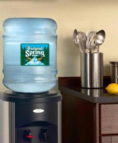 Lovely Victorian Home with Bed and Breakfast Energy