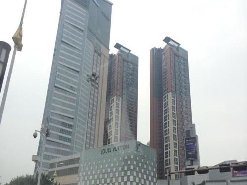 The Bauhinia - image 3