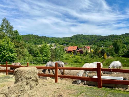 Rancho-Bierna